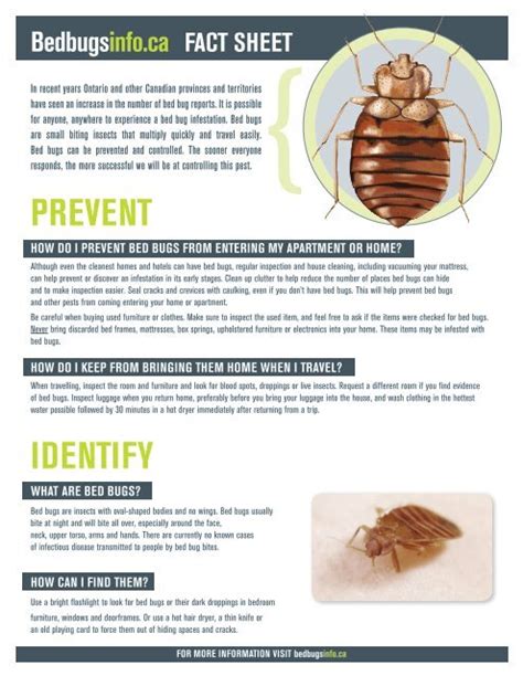 PREVENT IdENTIFy Bed Bugs