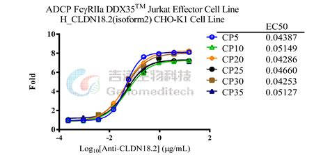 ADCP FcγRIIa DDX35TM Jurkat Effector Cell Line