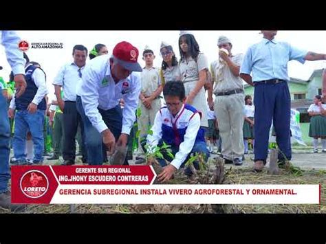 GERENCIA SUBREGIONAL INSTALA VIVERO AGROFORESTAL Y ORNAMENTAL YouTube