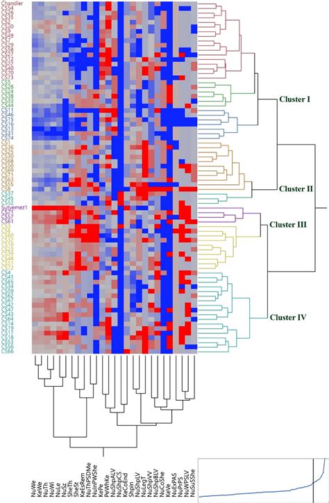 The Heat Map Showing The Correlation Between The Dendrogram As Well As Download Scientific