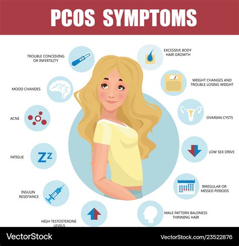 Pcos Symptoms Infographic Detailed Royalty Free Vector Image