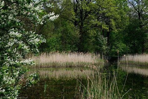 Najpiękniejsze tereny zielone Wrocławia i Dolnego Śląska Plebiscyt