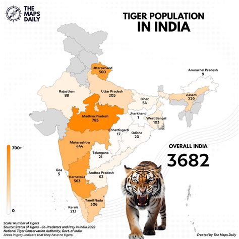 Indias Tiger Population Has Seen A Remarkable Maps On The Web