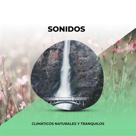 Valle Terrenal Song And Lyrics By Naturaleza Sonidos Spotify