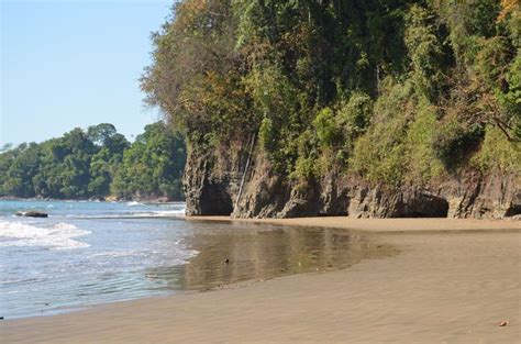 Playa Arco Parque Marino Ballena Pacifico Sur De Costa Rica Gw