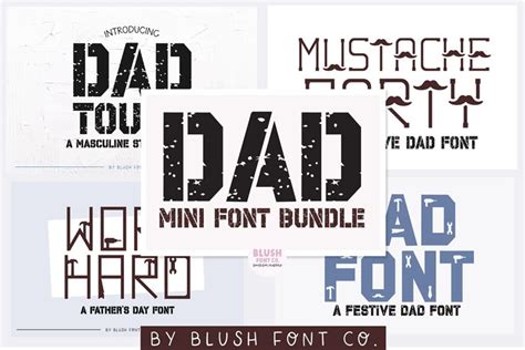 Blush Font Co Design Bundles