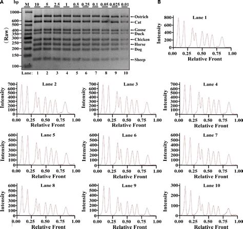 Frontiers Detection And Characterization Of Meat Adulteration In