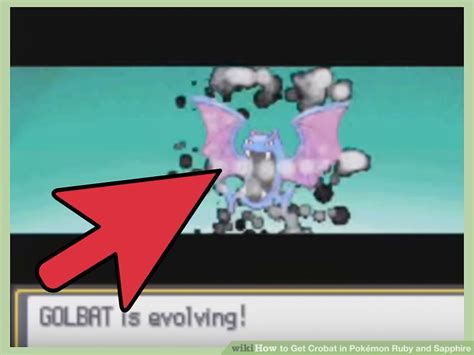 Pokemon Golbat Evolution Chart A Visual Reference Of Charts Chart Master