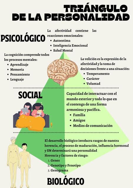 Triángulo de la Personalidad Melissa Ambrocio Meli MedNotes uDocz