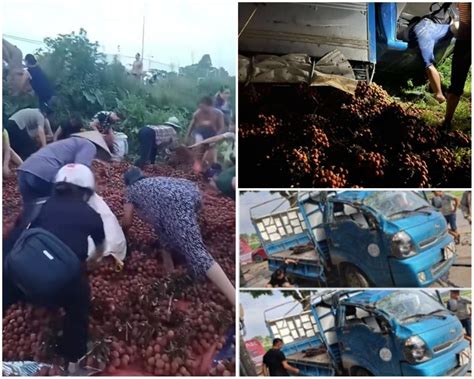 C M Tranh C I Gay G T V T I X D N T C V Ng Cao B Ng I D N Thi Nhau