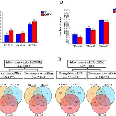 The Expression Of Salt Stress Regulated Demis And Dems In Sugar Beet