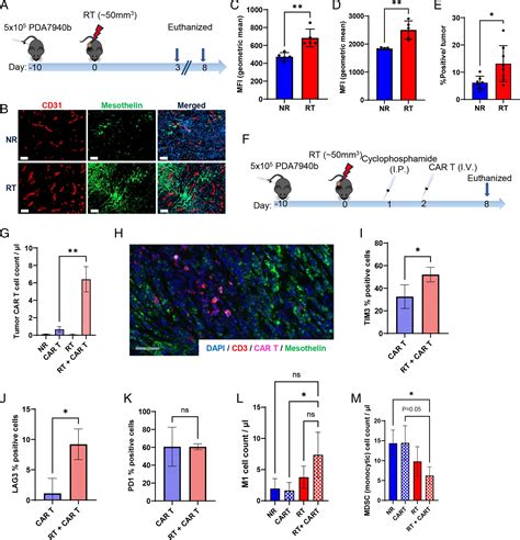 Proton Radiation Boosts The Efficacy Of Mesothelin Targeting Chimeric Antigen Receptor T Cell