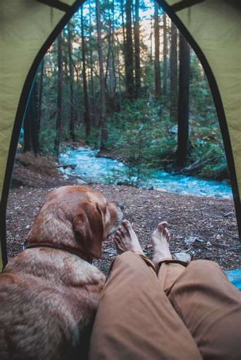 Camping Tumblr