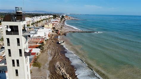 Nules No Espera A Costas Y Act A Para Proteger Las Casetes Amenazadas