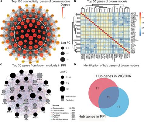 Frontiers Identification Of Hub Genes Associated With Hepatocellular