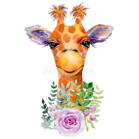 Retrato Do Girafa Da Aquarela Ilustração Stock Ilustração de fauna