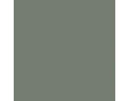 Pewter Green SW6208 Paint by Sherwin-Williams - modlar.com