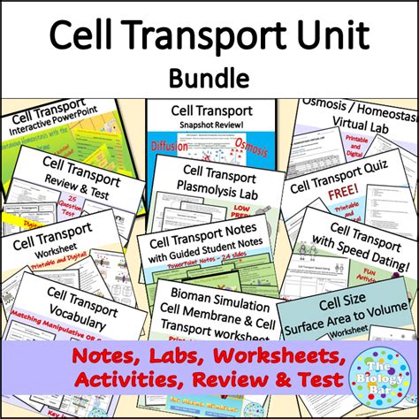 Transport Across Membranes Powerpoint Worksheet Answers Worksheets