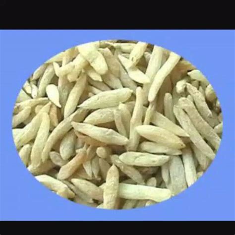 Jual Mai Men Dong Bek Tong Ophiopogon 100 Gram Shopee Indonesia