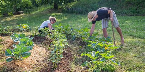 How To Start A Permaculture Garden Beginner S Guide GroCycle