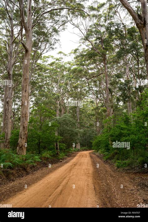 Karri Baum Stockfotos Und Bilder Kaufen Alamy