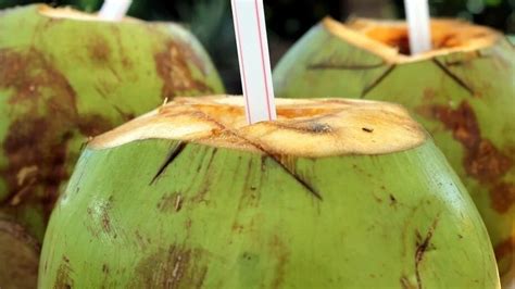 7 Lesser Known Benefits Of Coconut Water Health Hindustan Times