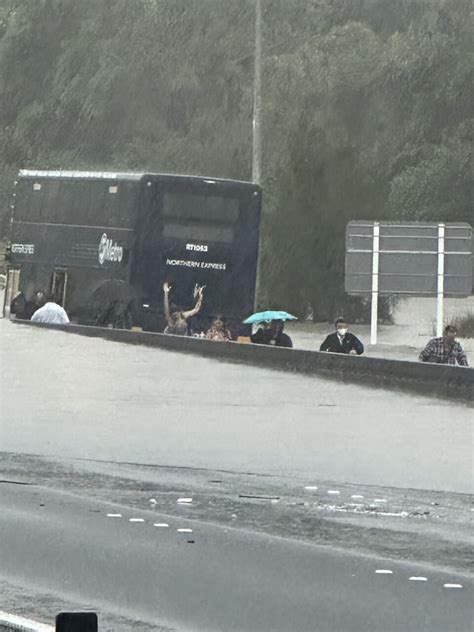 Flooding causes traffic chaos on Auckland motorways, cars seen floating