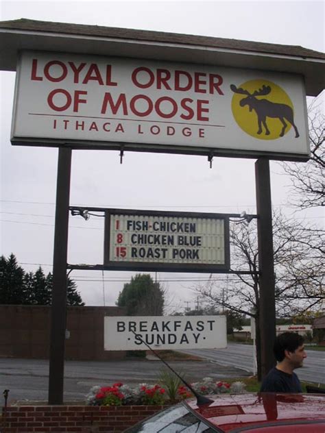 Loyal Order Of Moose Ithaca Lodge 367 Elmira Road Ithaca New York