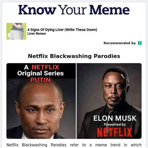 Netflix Blackwashing Parodies - Know Your Meme