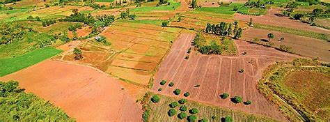 Vendita Terreni Agricoli Nel Universofood