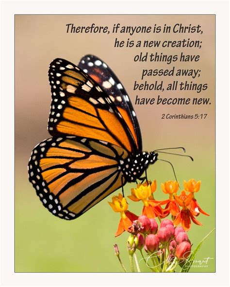 7 Bible Verses About Butterflies Artofit