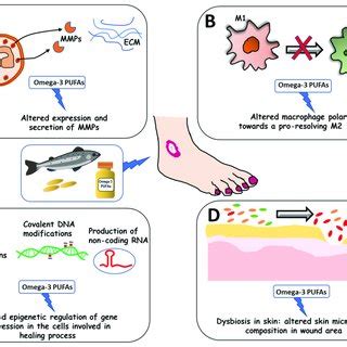 Future Perspectives In Research On Nonhealing Ulcers And Omega Pufas