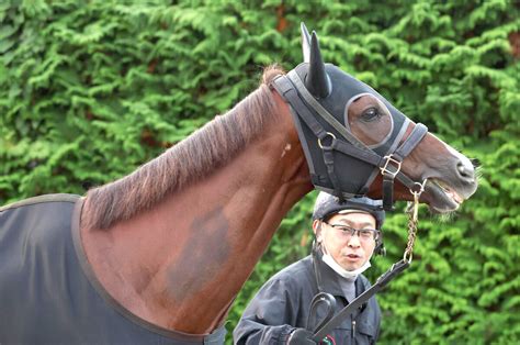 日曜メインレースの注目激走馬阪神11rマイルチャンピオンシップ・g1 Umatoku 馬トク