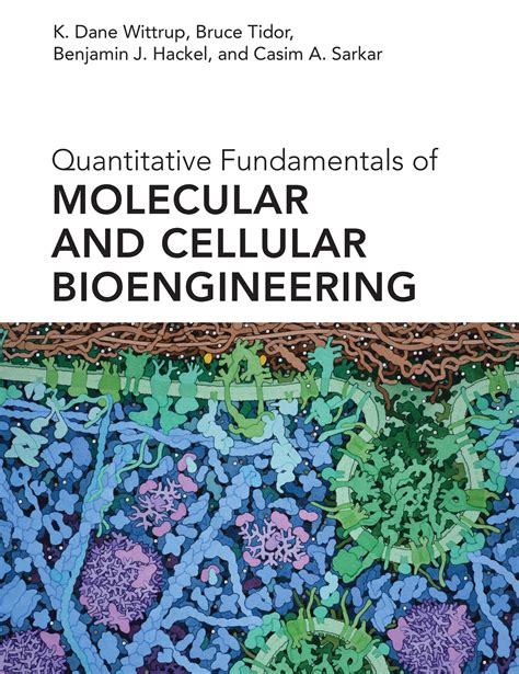 Quantitative Fundamentals Of Molecular And Cellular Bioengineering By K