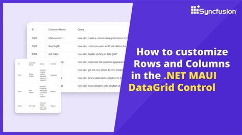 How To Customize Rows And Columns In The NET MAUI DataGrid Control