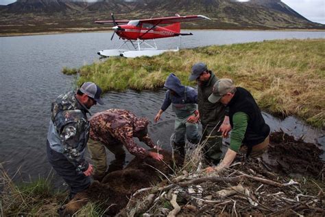 Alaska Hunting and Fishing | Arctic North Guides