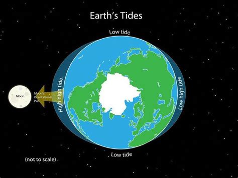 The Earth's rotation and the gravitational pull of the sun and moon create tides. # ...