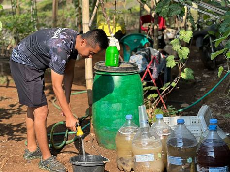 Sulap Lahan Tidur Menjadi Lahan Produktif Yonif Sukses Budidayakan