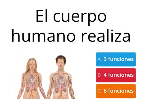 LAS FUNCIONES VITALES DEL CUERPO HUMANO Quiz