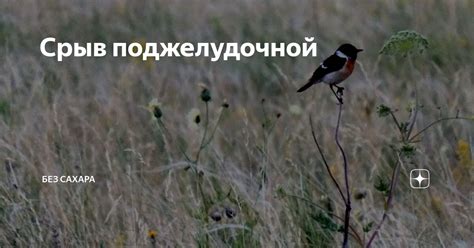 Срыв поджелудочной | Мама в кубе ️ | Дзен