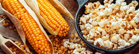 Best Popcorn Kernels | Corn For Popping Perfect Popcorn