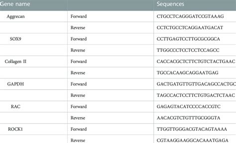 Primer Sequence Used In Vitro Experiments Download Scientific Diagram