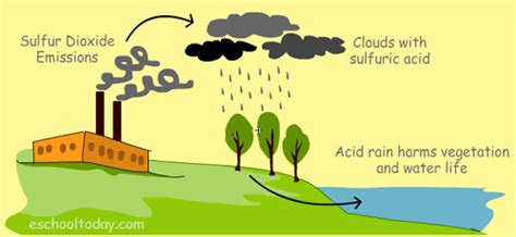 Effects on the Environment - All About Pollution