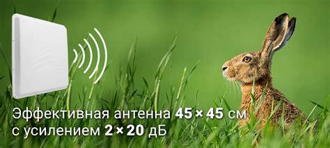 Комплект 3G/4G Дача-Максимум 2x2 (Роутер WiFi, модем, кабель 2х5м ...