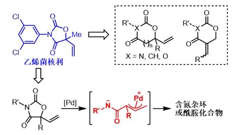 中国农业大学理学院 教科成果 理学院郭红超课题组在钯催化不对称环加成反应研究中取得新进展