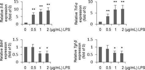 Effects Of Lps On The Mrna Levels Of Il Tnf Bdnf And Tgf In