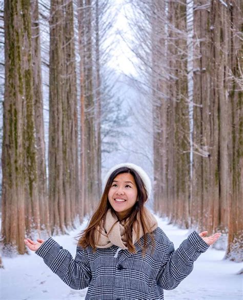 nami island winter sonata - ZoeytaroWoodard