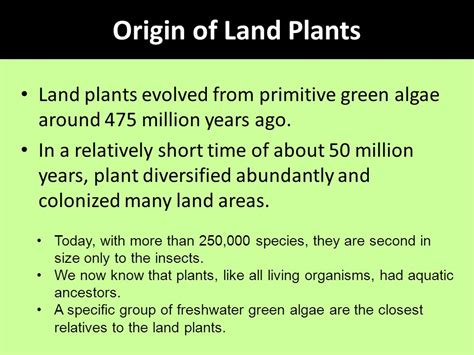 Plant Evolution Timeline Giorginaaissata