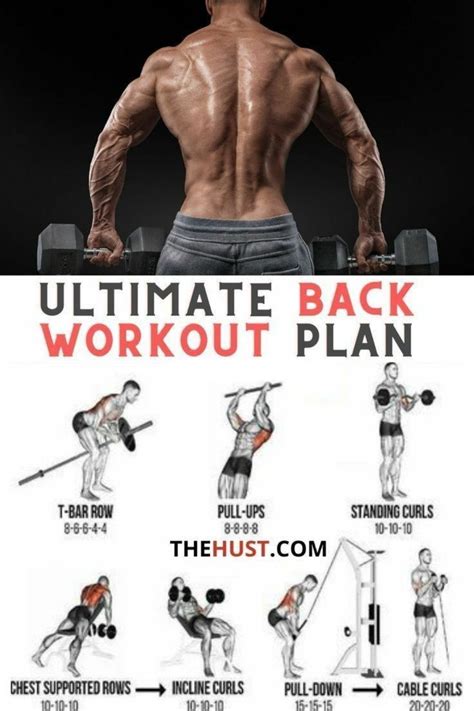 The Ultimate Back Workout Plan Is Shown In This Image With Instructions For How To Do It