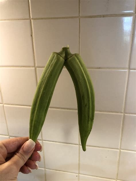 Okra Twin Vegetable - Free photo on Pixabay - Pixabay